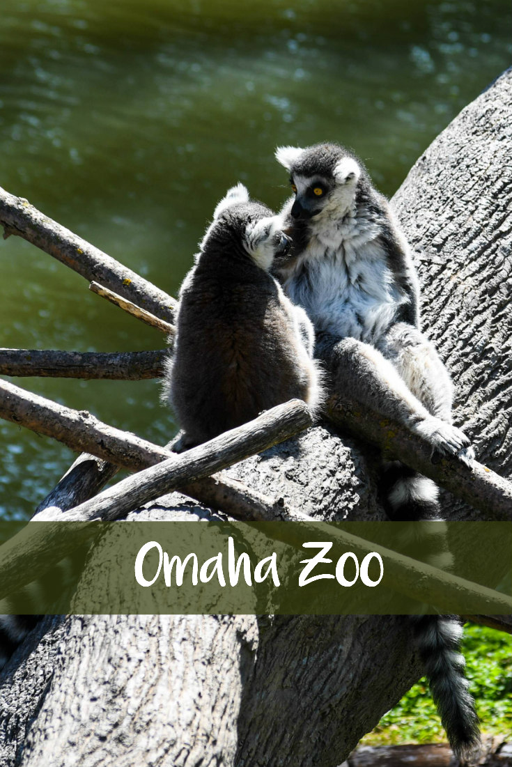 Omaha Zoo