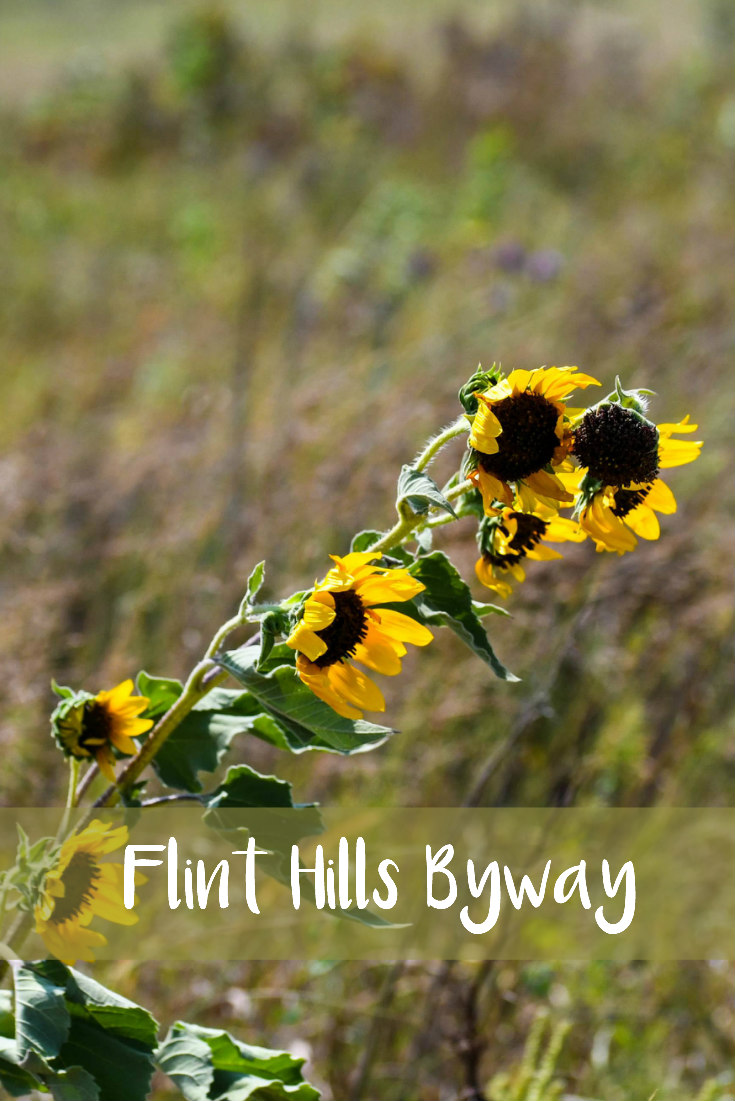 Flint Hills Scenic Byway Day Trip