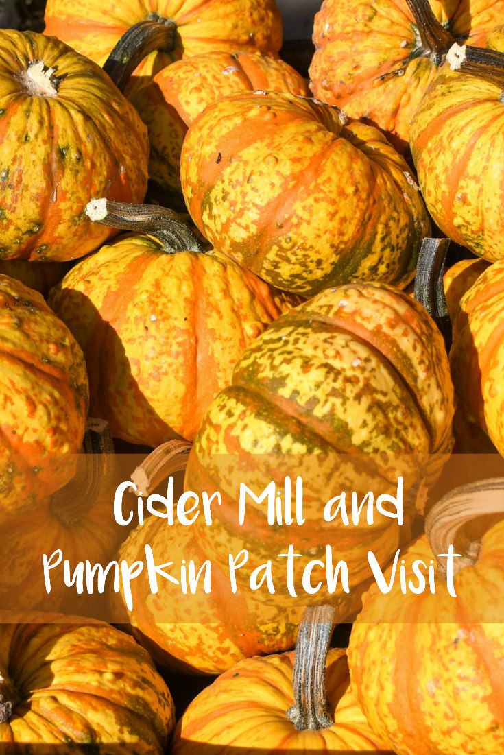 Cider Mill and Pumpkin Patch Visit