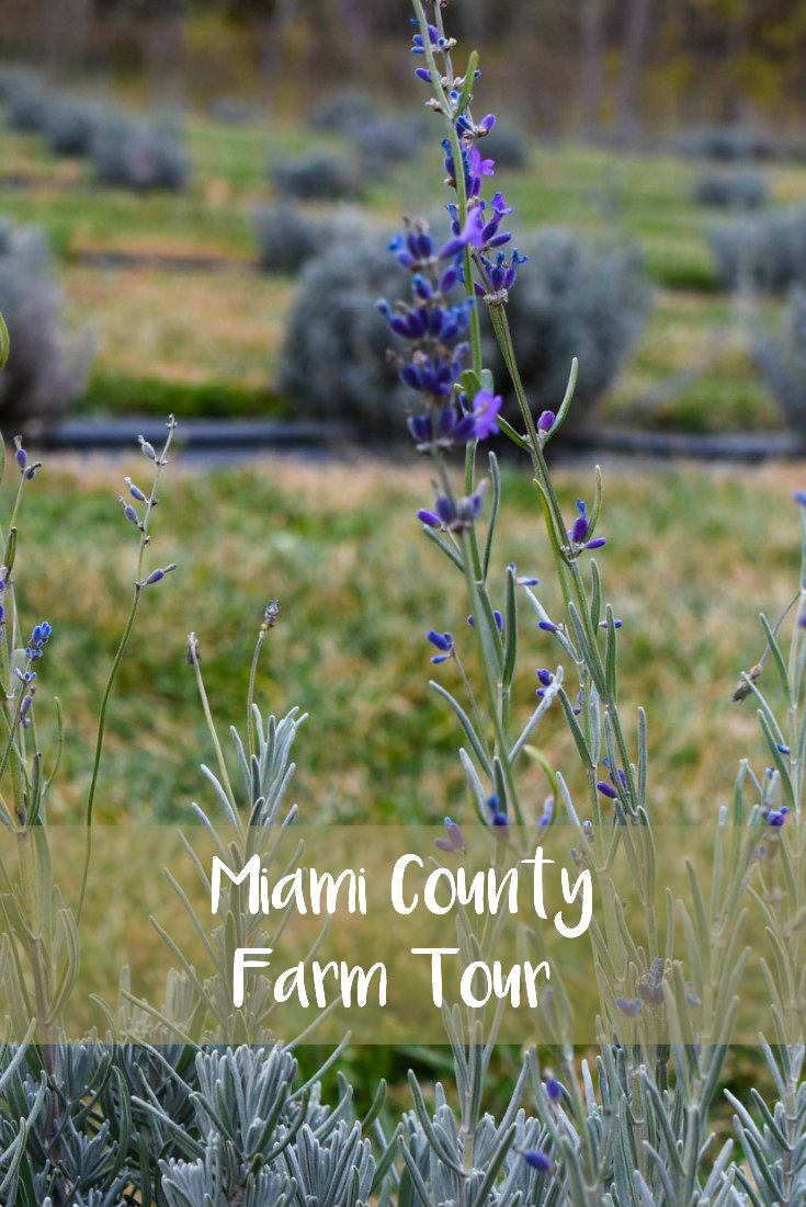 Miami County Fall Farm Tour