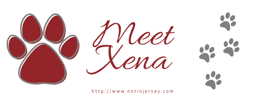 Meet Xena