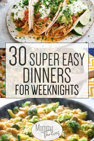 Quick Family Dinner Ideas Round Up - Not In Jersey