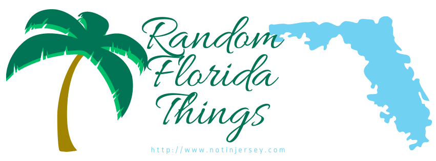 Random Florida Things - Family, Frogs, and Food