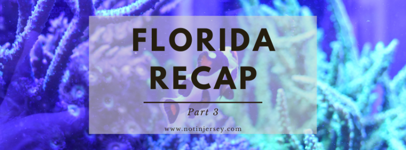 Florida Recap Part 3 - Key Largo