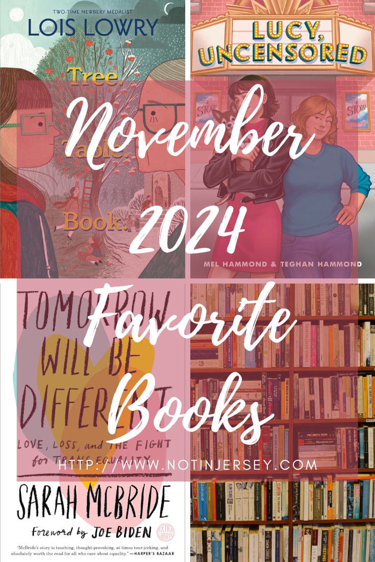 November 2024 Favorite Books - Not In Jersey